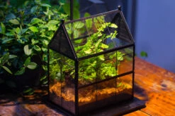 Handmade Twisted Wire House Shape Glass Geometric Terrarium With LED Light Set, Snail Jumping Spider Enclosure, Insect Container Set -Terrarium Plant Hub IMG 0308 b0eb7ec7 e8dc 4fd1 b4bb 131de1761dc5