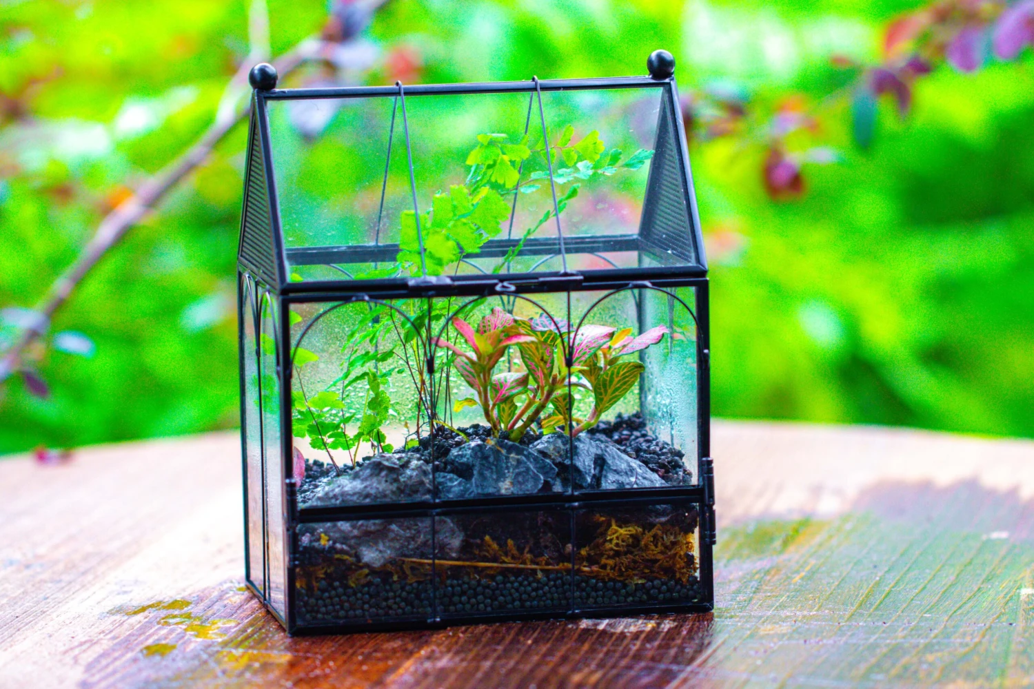 Vintage Mini House Shape Glass Geometric Terrarium For Jumping Spider 5 Vintage Mini House Shape Glass Geometric Terrarium For Jumping Spider - Image 3