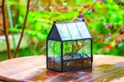 Vintage Mini House Shape Glass Geometric Terrarium For Jumping Spider 36 Vintage Mini House Shape Glass Geometric Terrarium For Jumping Spider -Terrarium Plant Hub IMG 0424