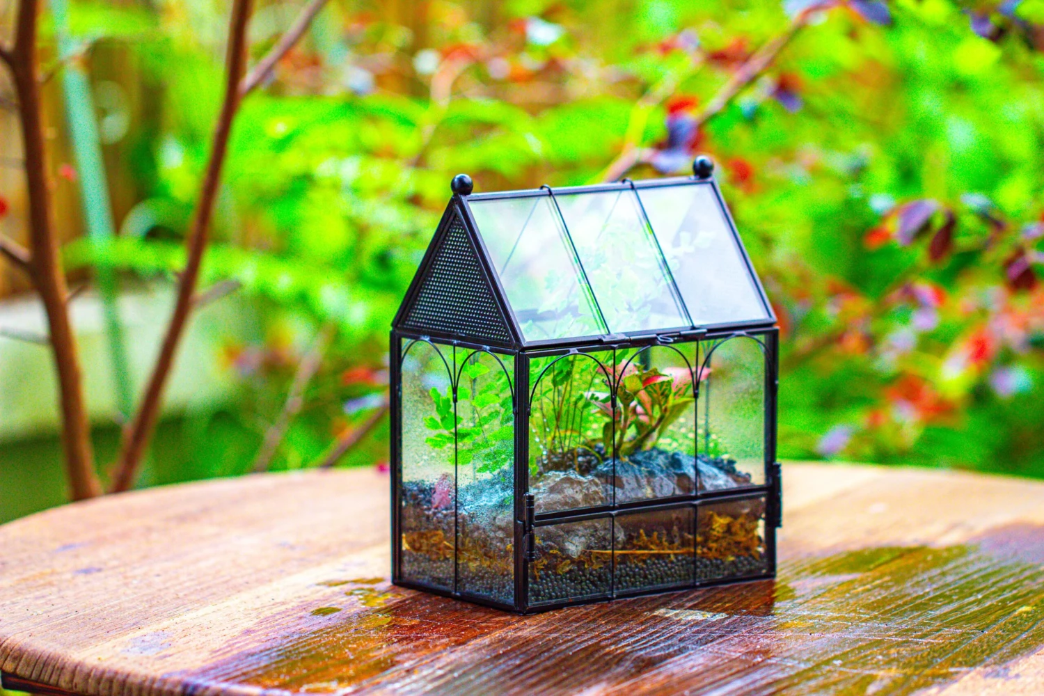 Vintage Mini House Shape Glass Geometric Terrarium For Jumping Spider 17 Vintage Mini House Shape Glass Geometric Terrarium For Jumping Spider - Image 15