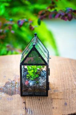 Vintage Mini House Shape Glass Geometric Terrarium For Jumping Spider 40 Vintage Mini House Shape Glass Geometric Terrarium For Jumping Spider -Terrarium Plant Hub IMG 0428 2