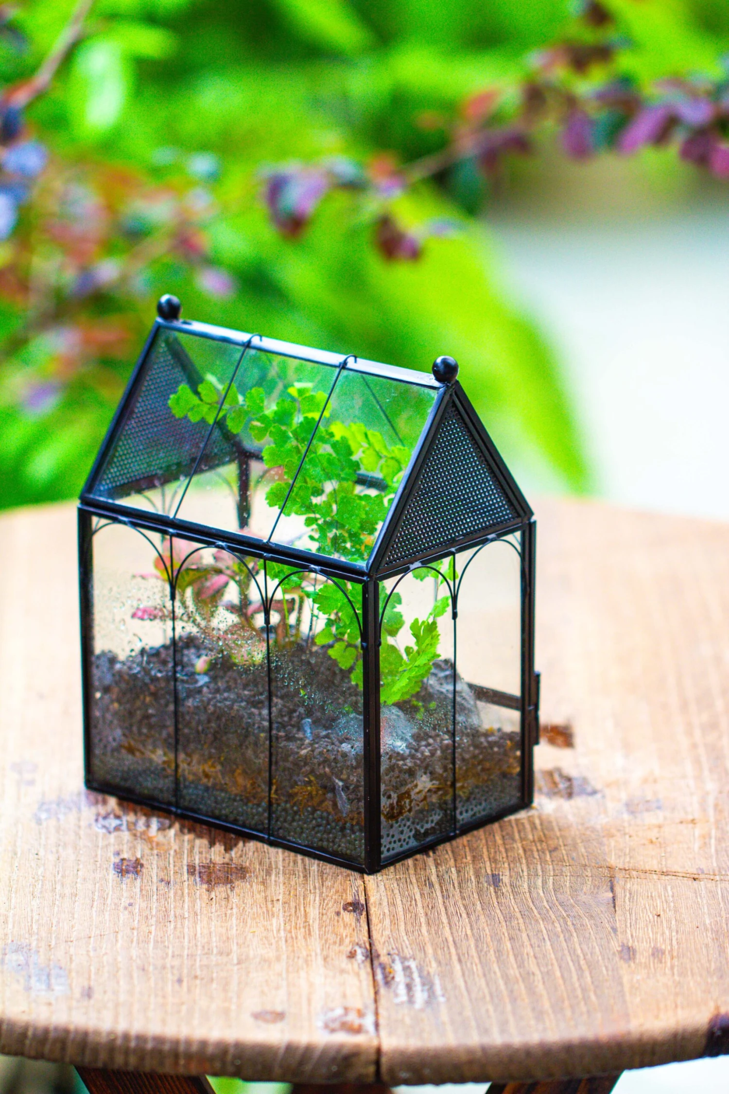 Vintage Mini House Shape Glass Geometric Terrarium For Jumping Spider 6 Vintage Mini House Shape Glass Geometric Terrarium For Jumping Spider - Image 4