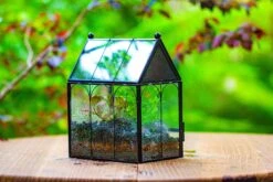 Vintage Mini House Shape Glass Geometric Terrarium For Jumping Spider 41 Vintage Mini House Shape Glass Geometric Terrarium For Jumping Spider -Terrarium Plant Hub IMG 0430