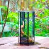 NCYP Tall Hexagon Mimi Geometric Terrarium For Spiders And Small Insects -Terrarium Plant Hub IMG 0460 1 771f33bc fc5e 4885 8c42 f060dfe21398