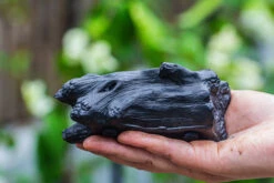 Small Black Tree Stump Like Planter, For Terrarium, Microlandscape -Terrarium Plant Hub IMG 0621