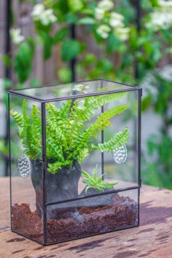 Handmade Close Glass Terrarium With Vents, With LED Grow Light Set, FOR Insects, Bugs -Terrarium Plant Hub IMG 0659 96bb0c83 84ff 4fb1 873f d1a989522307
