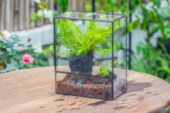 Handmade Close Glass Terrarium With Vents, With LED Grow Light Set, FOR Insects, Bugs -Terrarium Plant Hub IMG 0661 7d66d344 43de 44c5 9cde c12ddca0ea54