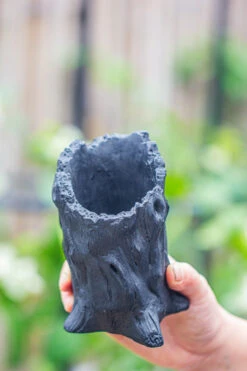 Small Black Tree Stump Like Planter, For Terrarium, Microlandscape -Terrarium Plant Hub IMG 0668