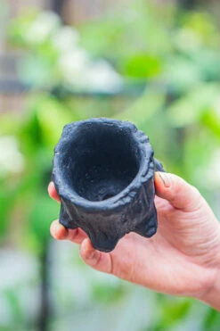 Small Black Tree Stump Like Planter, For Terrarium, Microlandscape -Terrarium Plant Hub IMG 0672