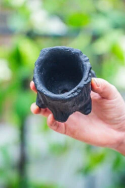 Small Black Tree Stump Like Planter, For Terrarium, Microlandscape -Terrarium Plant Hub IMG 0673