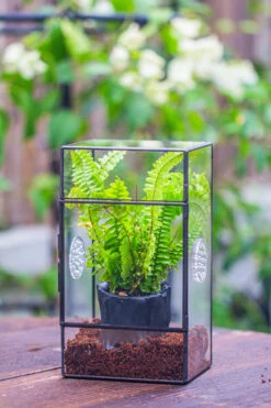 Rectangle Tin And Glass Geometric Terrarium Kit, With Side Door, With Vent, Snail Terrarium Building Set -Terrarium Plant Hub IMG 0679
