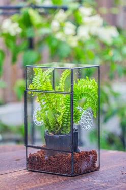 Rectangle Tin And Glass Geometric Terrarium Kit, With Side Door, With Vent, Snail Terrarium Building Set -Terrarium Plant Hub IMG 0680