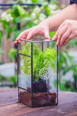 Rectangle Tin And Glass Geometric Terrarium Kit, With Side Door, With Vent, Snail Terrarium Building Set -Terrarium Plant Hub IMG 0681