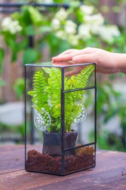 Rectangle Tin And Glass Geometric Terrarium Kit, With Side Door, With Vent, Snail Terrarium Building Set -Terrarium Plant Hub IMG 0682