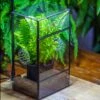 Rectangle Tin And Glass Geometric Terrarium Kit, With Side Door, With Vent, Snail Terrarium Building Set -Terrarium Plant Hub IMG 0710