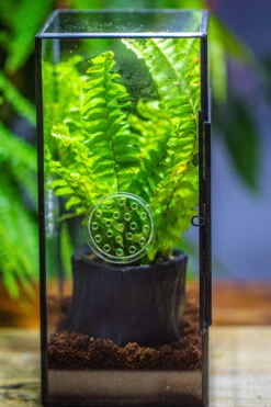 Rectangle Tin And Glass Geometric Terrarium Kit, With Side Door, With Vent, Snail Terrarium Building Set -Terrarium Plant Hub IMG 0712