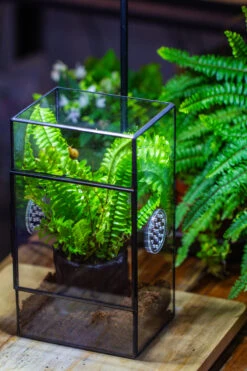 Rectangle Tin And Glass Geometric Terrarium Kit, With Side Door, With Vent, Snail Terrarium Building Set -Terrarium Plant Hub IMG 0713