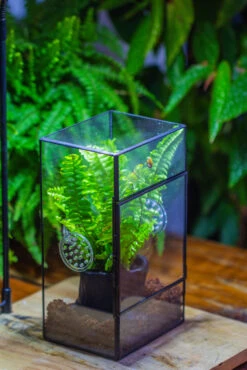 Rectangle Tin And Glass Geometric Terrarium Kit, With Side Door, With Vent, Snail Terrarium Building Set -Terrarium Plant Hub IMG 0715