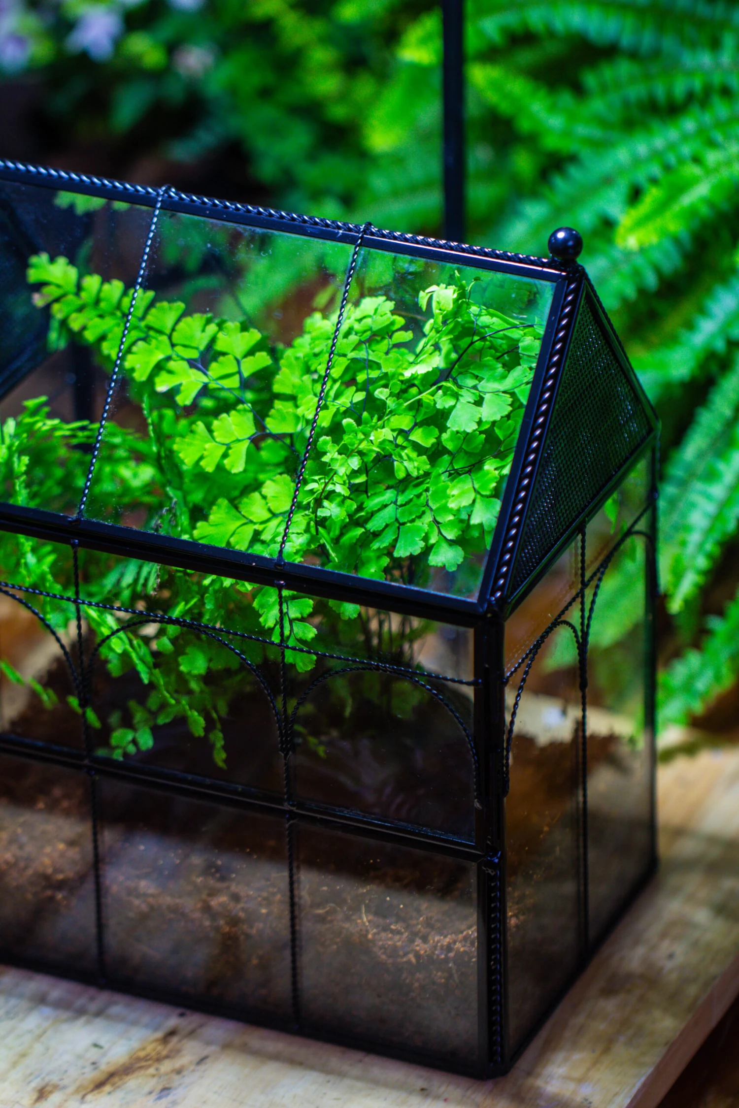 NCYP Twisted Wire Vintage House Shape Glass Geometric Terrarium Kit, DIY Set, Suitable For Small Snails, Spiders 14 NCYP Twisted Wire Vintage House Shape Glass Geometric Terrarium Kit, DIY Set, Suitable For Small Snails, Spiders - Image 12