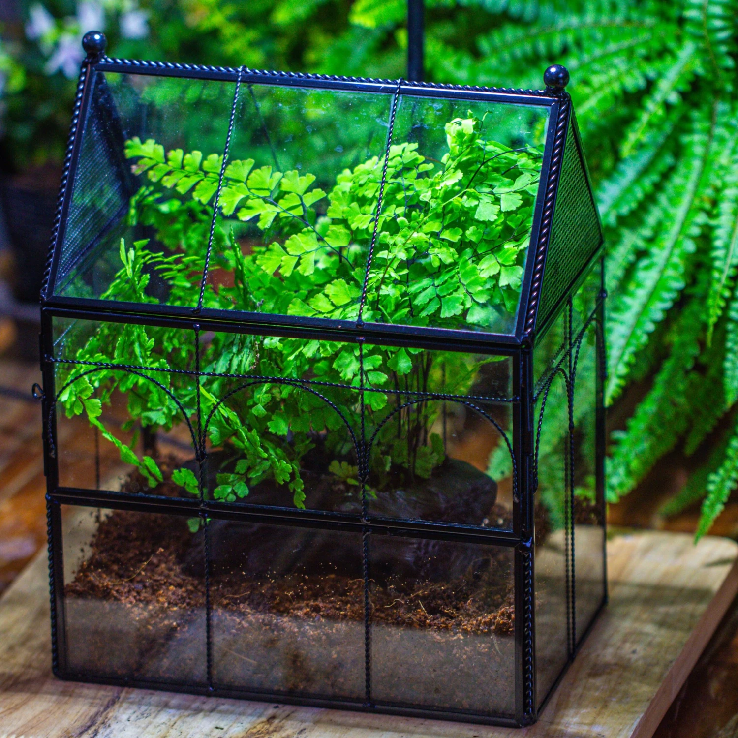 NCYP Twisted Wire Vintage House Shape Glass Geometric Terrarium Kit, DIY Set, Suitable For Small Snails, Spiders 4 NCYP Twisted Wire Vintage House Shape Glass Geometric Terrarium Kit, DIY Set, Suitable For Small Snails, Spiders - Image 2