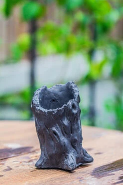 NCYP Close Geometric Glass Terrarium With Door, With Vents, Coconut Coir, Tree Stump Like Black Pot Building Set, For Snails, Spiders -Terrarium Plant Hub IMG 0835