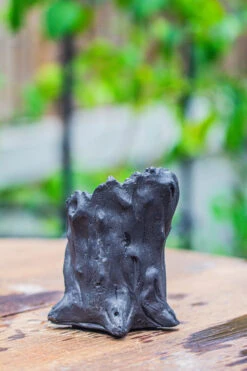 Small Black Tree Stump Like Planter, For Terrarium, Microlandscape -Terrarium Plant Hub IMG 0836