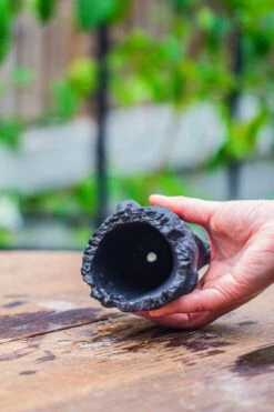 Small Black Tree Stump Like Planter, For Terrarium, Microlandscape -Terrarium Plant Hub IMG 0838