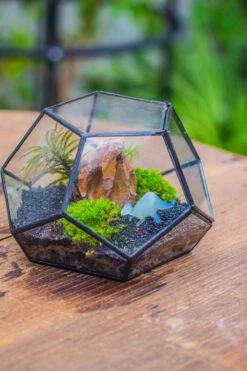Handmade Geometric Half Ball, Pentagon, Close Terrarium, With Door For Moss -Terrarium Plant Hub IMG 0870