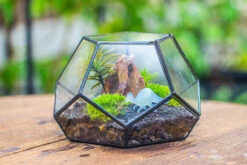Handmade Geometric Half Ball, Pentagon, Close Terrarium, With Door For Moss -Terrarium Plant Hub IMG 0880