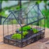 Black Theme Moss And Black Tree Stump Vintage Greenhgouse Tin And Glass Terrarium Kit -Terrarium Plant Hub IMG 0918