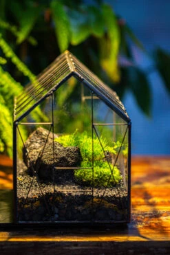 Handmade Vintage Greenhouse Inspired Tin Terrarium With LED Grow Light Set, Closed Glass Planter Set -Terrarium Plant Hub IMG 1053 6271f323 3b38 48a7 8bde 8d56ae1e032f