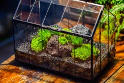 Handmade Vintage Greenhouse Inspired Tin Terrarium With LED Grow Light Set, Closed Glass Planter Set -Terrarium Plant Hub IMG 1059 f9123ee2 58e6 4d6f ba16 a76bc2f36025