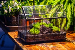 Black Theme Moss And Lava Rocks Vintage Greenhgouse Tin And Glass Terrarium Kit -Terrarium Plant Hub IMG 1061