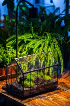 Handmade Vintage Greenhouse Inspired Tin Terrarium With LED Grow Light Set, Closed Glass Planter Set -Terrarium Plant Hub IMG 1064 46e7c7bd 26d5 468c b09c ae4e152e3c3a