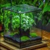 8x8x10" Tin And Glass Terrarium Kit, Tree And Moss Land -Terrarium Plant Hub IMG 1227