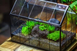 Black Theme Moss And Lava Rocks Vintage Greenhgouse Tin And Glass Terrarium Kit -Terrarium Plant Hub IMG 1230