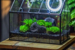 Black Theme Moss And Lava Rocks Vintage Greenhgouse Tin And Glass Terrarium Kit -Terrarium Plant Hub IMG 1231