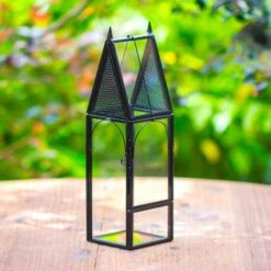 Mini Tall House Shape Jumping Spider Terrarium -Terrarium Plant Hub IMG 1257 1