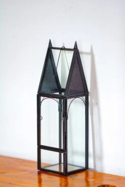 Mini Tall House Shape Jumping Spider Terrarium -Terrarium Plant Hub IMG 1266 1