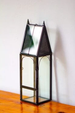 Mini Tall House Shape Jumping Spider Terrarium -Terrarium Plant Hub IMG 1272 05c6383e 5271 496b 8159 0ba0531e6c59