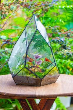 Large 16" Tall And Wide Teardrop Tin And Glass Terrarium, Close, With Door 28 Large 16" Tall And Wide Teardrop Tin And Glass Terrarium, Close, With Door -Terrarium Plant Hub IMG 1299 dac60fa3 d7c5 49d8 9dfd e88e9486fc48