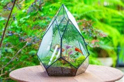 Large 16" Tall And Wide Teardrop Tin And Glass Terrarium, Close, With Door 29 Large 16" Tall And Wide Teardrop Tin And Glass Terrarium, Close, With Door -Terrarium Plant Hub IMG 1300 64c65c72 c675 4a84 a756 baebf61745fb