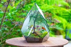 Large 16" Tall And Wide Teardrop Tin And Glass Terrarium, Close, With Door 30 Large 16" Tall And Wide Teardrop Tin And Glass Terrarium, Close, With Door -Terrarium Plant Hub IMG 1301 38ef91fa e36f 473d bc39 b31d4271fba7