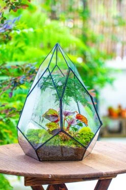 Large 16" Tall And Wide Teardrop Tin And Glass Terrarium, Close, With Door 31 Large 16" Tall And Wide Teardrop Tin And Glass Terrarium, Close, With Door -Terrarium Plant Hub IMG 1302