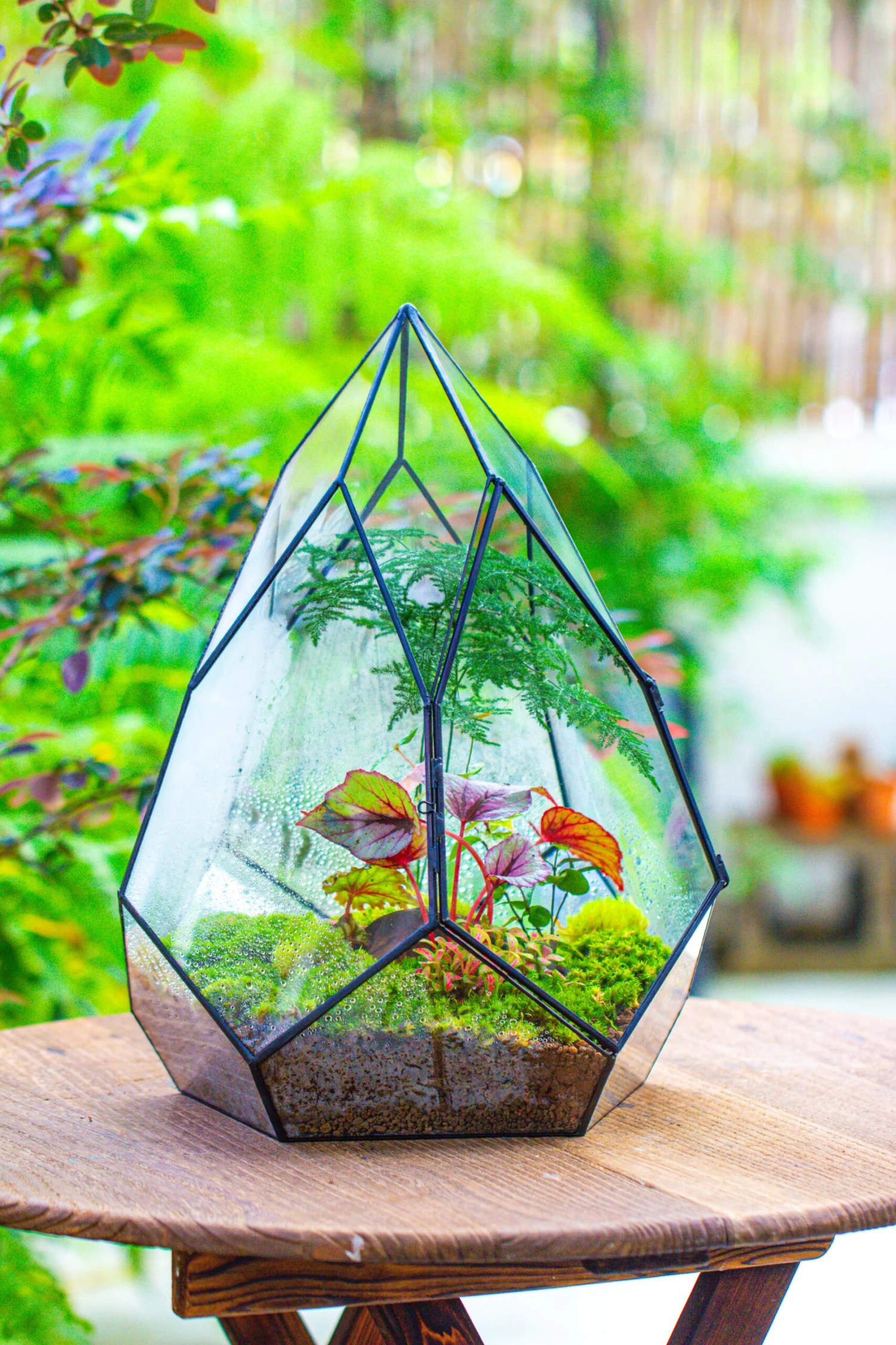 Large 16" Tall And Wide Teardrop Tin And Glass Terrarium, Close, With Door 12 Large 16" Tall And Wide Teardrop Tin And Glass Terrarium, Close, With Door - Image 10