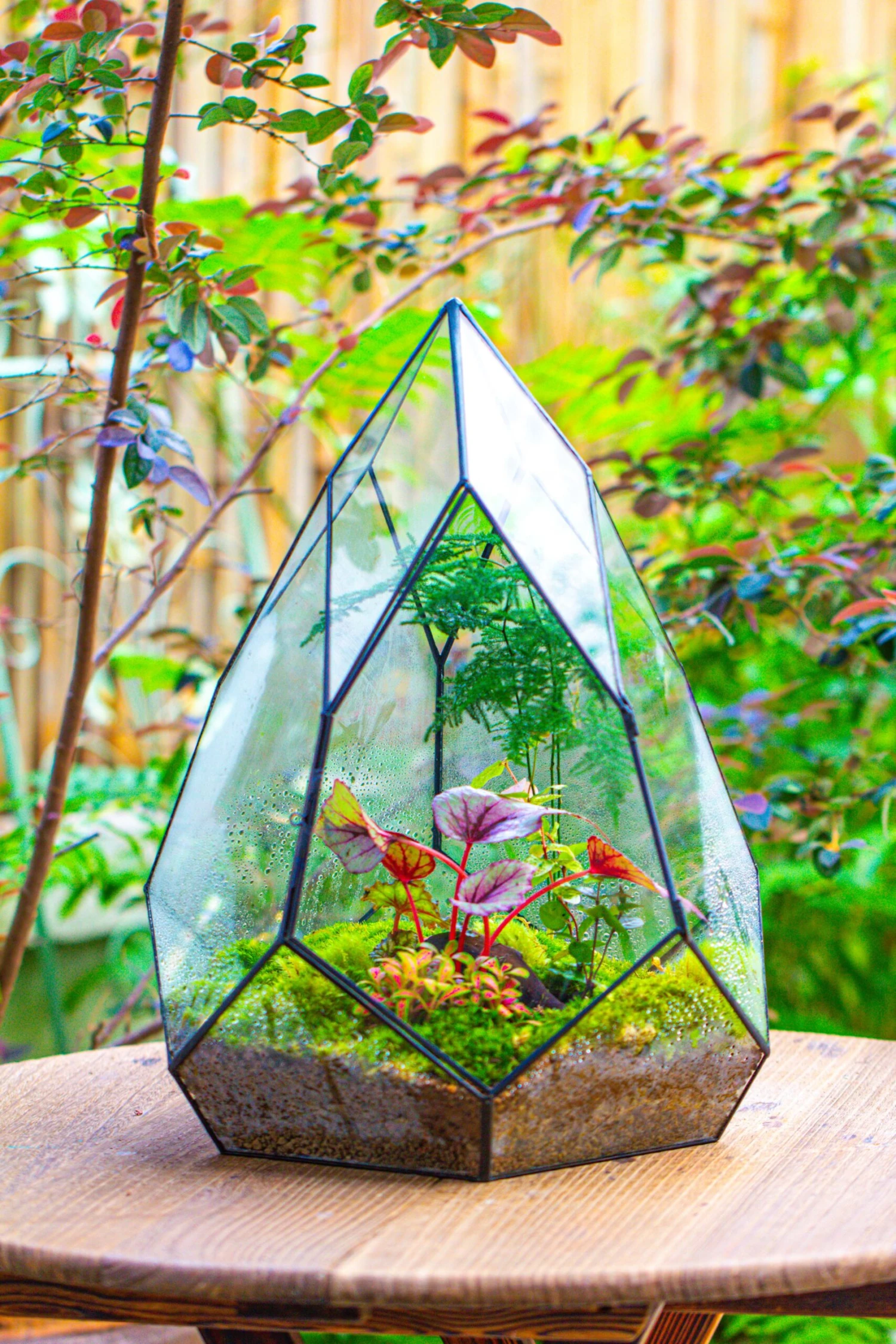 Large 16" Tall And Wide Teardrop Tin And Glass Terrarium, Close, With Door 13 Large 16" Tall And Wide Teardrop Tin And Glass Terrarium, Close, With Door - Image 11