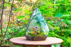 Large 16" Tall And Wide Teardrop Tin And Glass Terrarium, Close, With Door 27 Large 16" Tall And Wide Teardrop Tin And Glass Terrarium, Close, With Door -Terrarium Plant Hub IMG 1304