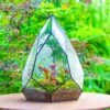 Large 16" Tall And Wide Teardrop Tin And Glass Terrarium, Close, With Door -Terrarium Plant Hub IMG 1305