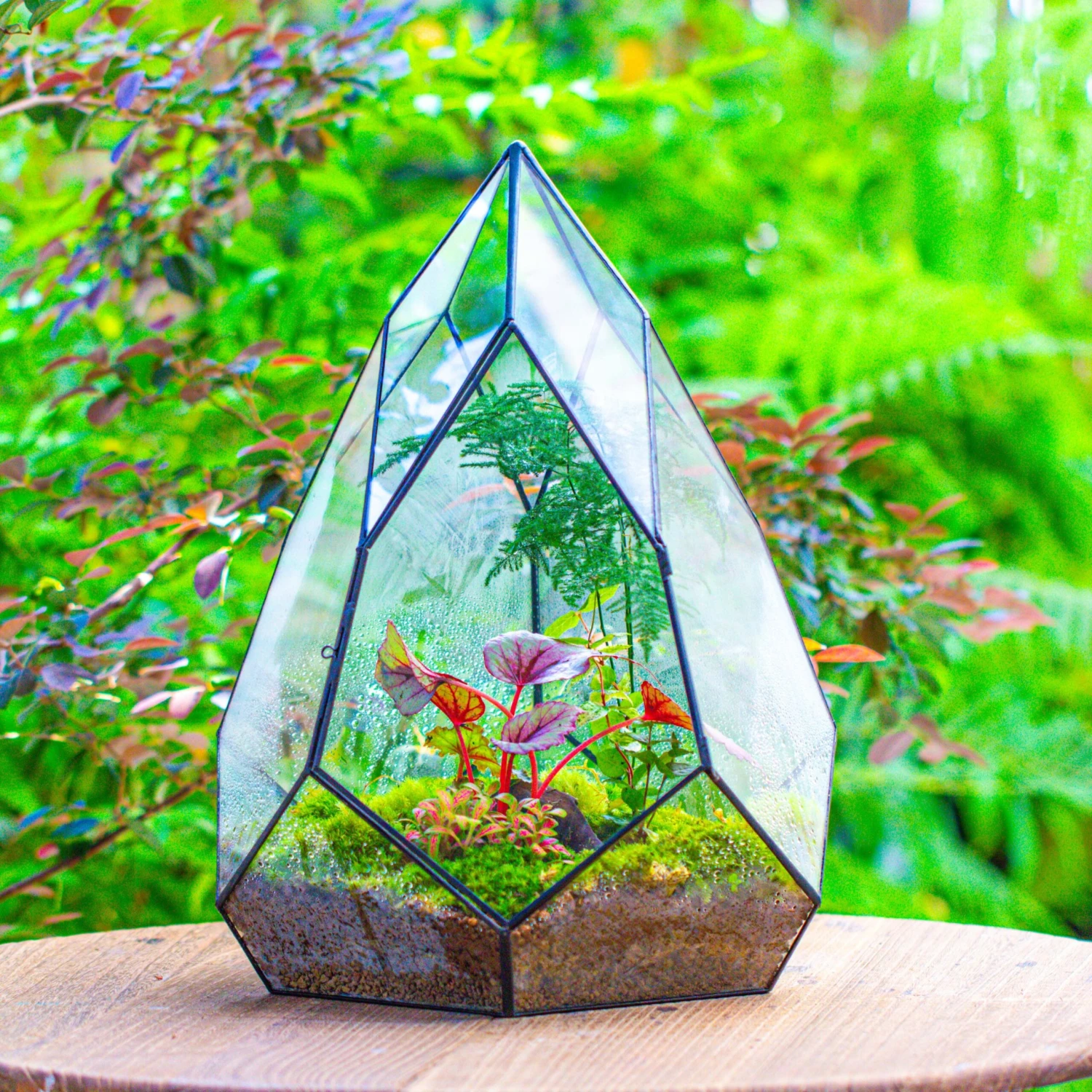 Large 16" Tall And Wide Teardrop Tin And Glass Terrarium, Close, With Door 3 Large 16" Tall And Wide Teardrop Tin And Glass Terrarium, Close, With Door