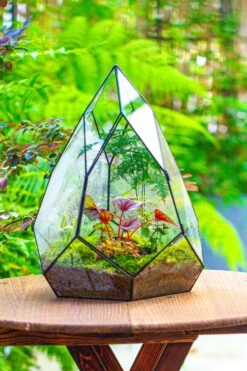 Large 16" Tall And Wide Teardrop Tin And Glass Terrarium, Close, With Door 33 Large 16" Tall And Wide Teardrop Tin And Glass Terrarium, Close, With Door -Terrarium Plant Hub IMG 1306